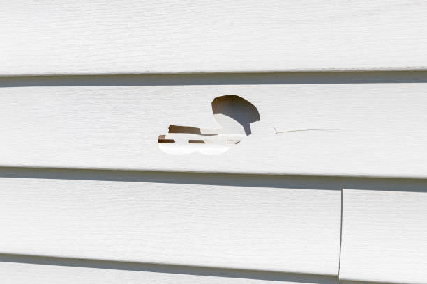 Affordable siding repair and maintenance services in Coaling, AL