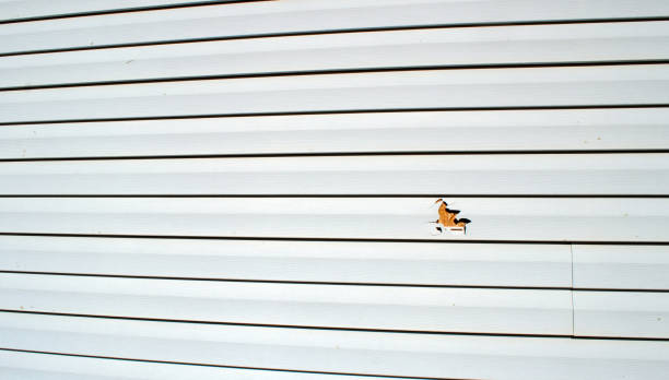 Best Siding Painting and Refinishing  in Coing, AL