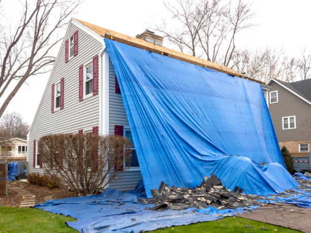 Best Custom Trim and Detailing for Siding  in Coing, AL