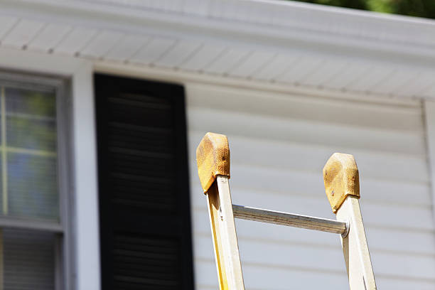 Best Steel Siding Installation  in Coing, AL